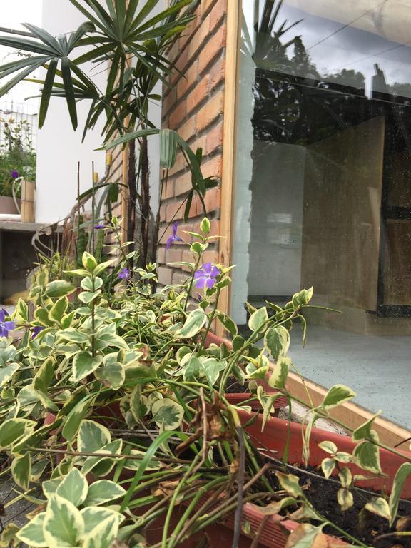 "Bambu Sierra" Cozzy Ecological Lofts Lägenhet Cuenca Exteriör bild